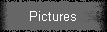 Pictures